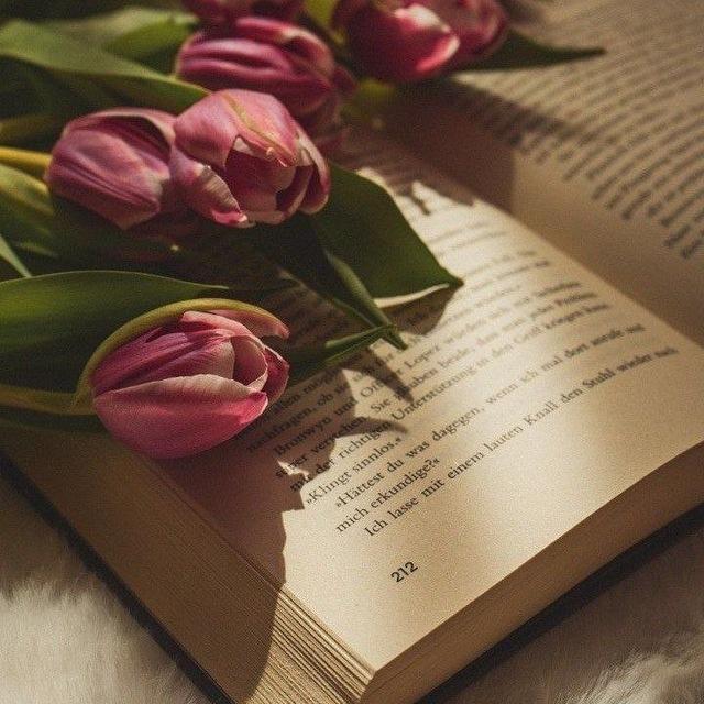 ⚕ 𝑷𝑼𝑳𝑺𝑬 | نَبْض ⚕