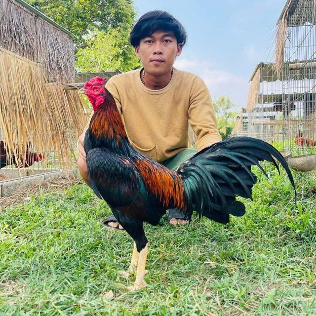 បក្សីកីឡា កម្ពុជា (Admin Chhiengouh)