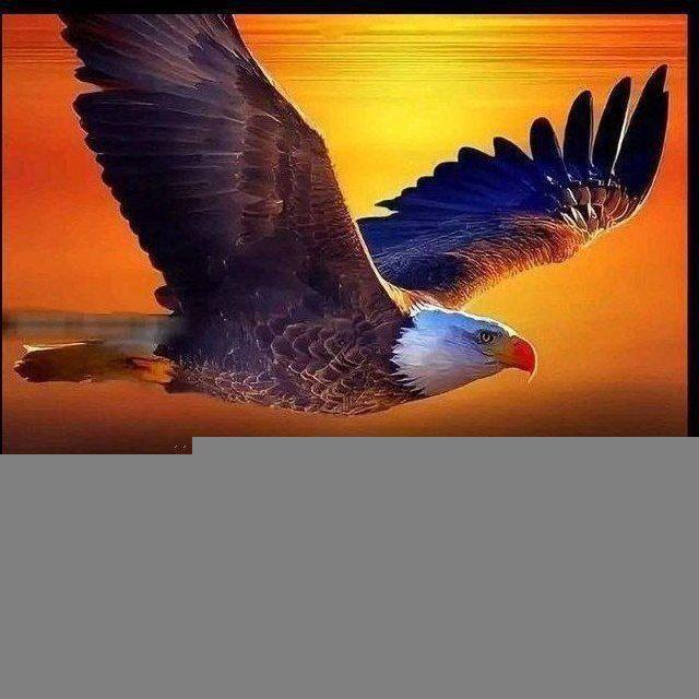 EAGLEMINDSET🦻👂🎤