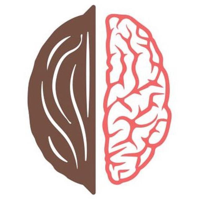گردو آکادمی
