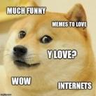 Doge Videos