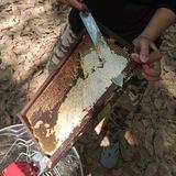 ស្រីពេជ្រ ទឹកឃ្មុំធម្មជាតិ