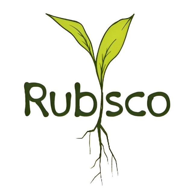 Rubisco Biology | المپیاد زیست روبیسکو