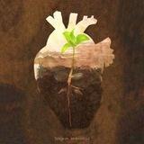 Infinito Soul 🌱 (موسیقی بیکلام)