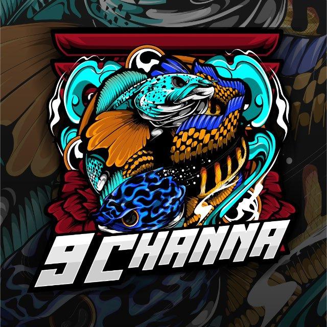 9Channa MLS🇲🇾 x SG🇸🇬 Society🐟