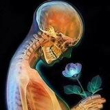 قسم الأشعة radiology_ x_ray CT_ MRI ☢☢
