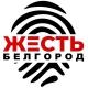 Жесть Белгород
