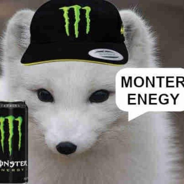 Paul Foxley's Shit Meme Stash
