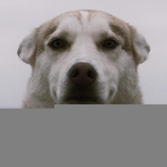 Добрее Буду