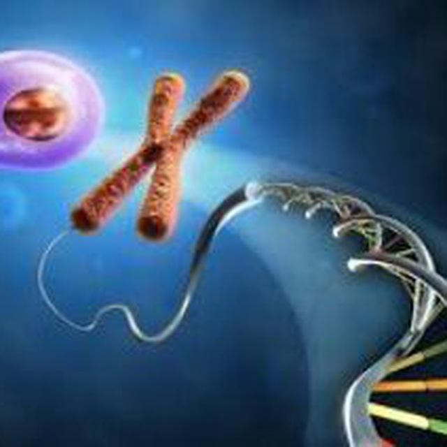Molecular biology94