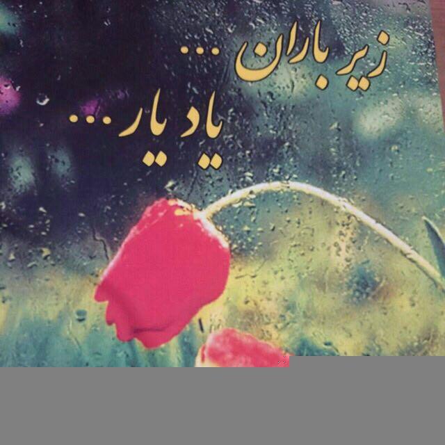 زیرباران ☔️