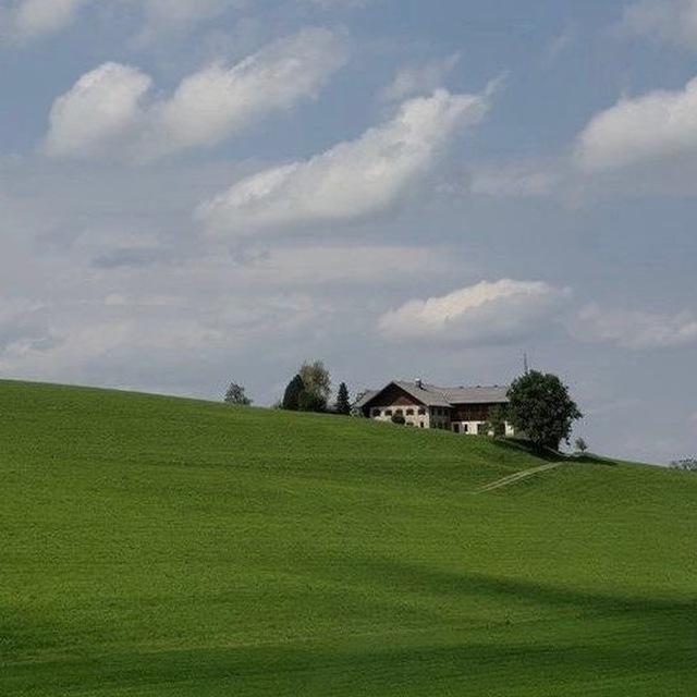 Muncorner! 🌳🍃