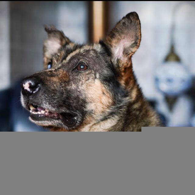 tati687 🐾🐾