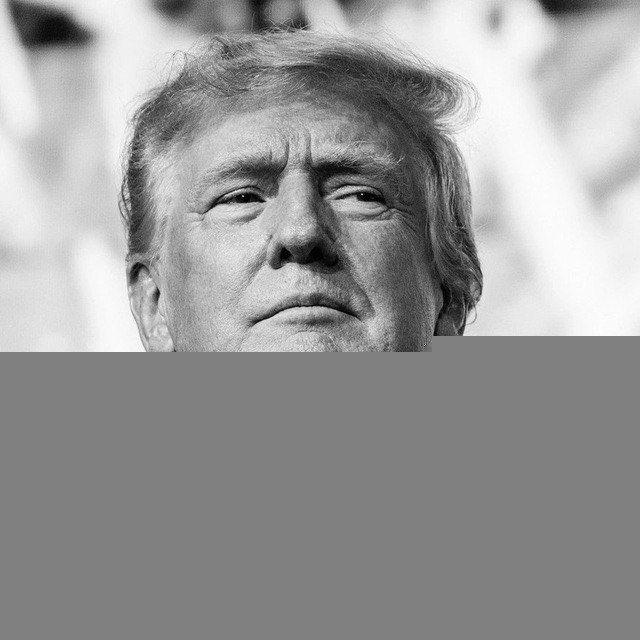 President Q17