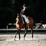 🪷dressage sonixx
