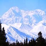 Everest Betting Tips ( Free)