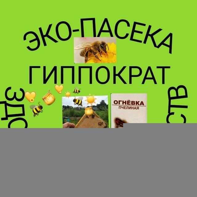 Эко-пчеловодство Здоровье без лекарств