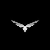 Eagle Shot Football Analysis
