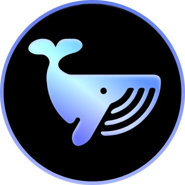 BluewhaleX Channel