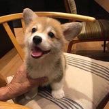 Уютный уголок💗