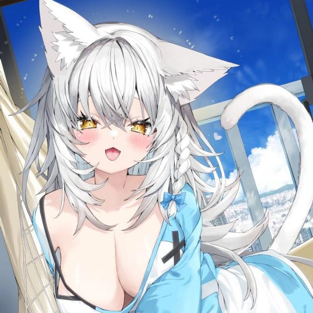 小月亮偷偷更新