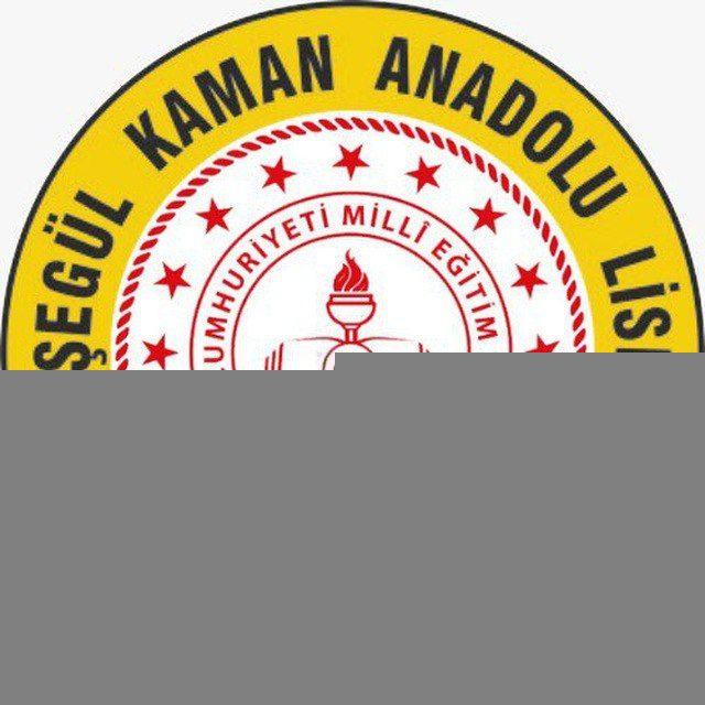 Ayşegül Kaman Anadolu Lisesi