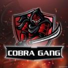 COBRA GANG FREE COURSESS