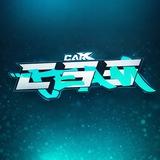 CSS • TEAM