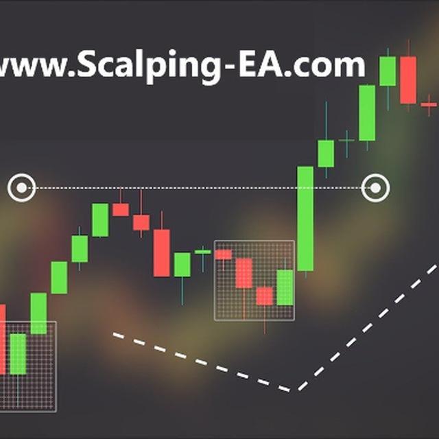 Scalping-EA.com Mirror Trading Community