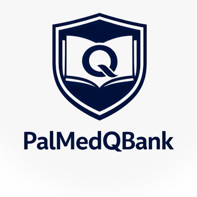 PalMedQB