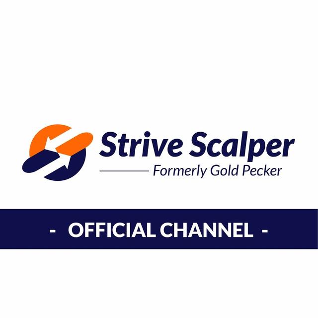 Strive Scalper Official ©
