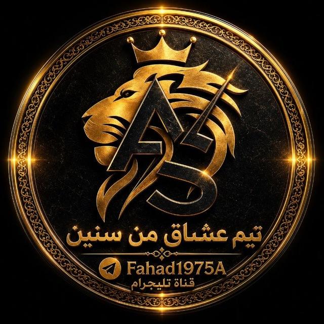 مطوري النت في العراق