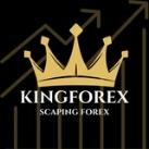 KINGFOREX CHANNEL