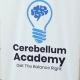 Cerebelllum academy official