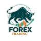 Forex Trading 📊💸💰