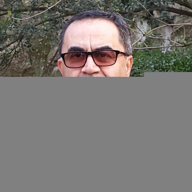Reza Alijani