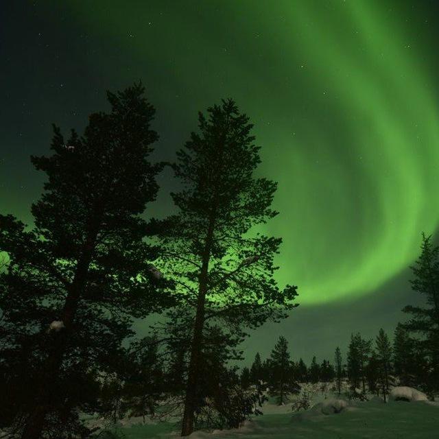 Longest night