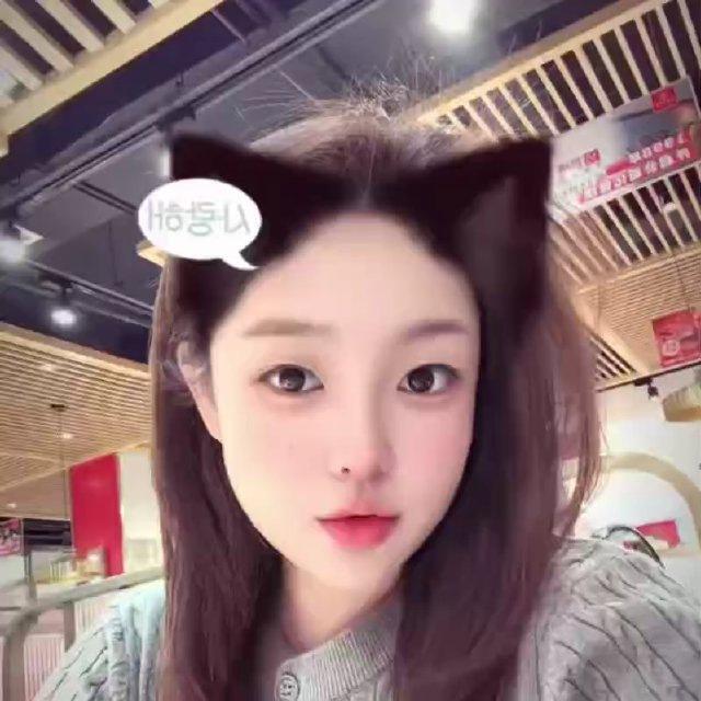 两只辫子