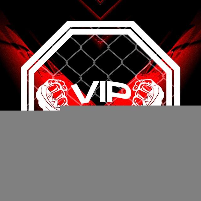 VIP FIGHTERS