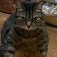BB & Crypto