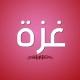 أيام غزة