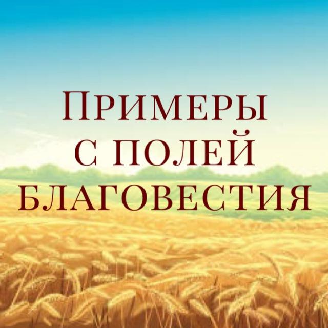 Примеры с полей Благовестия