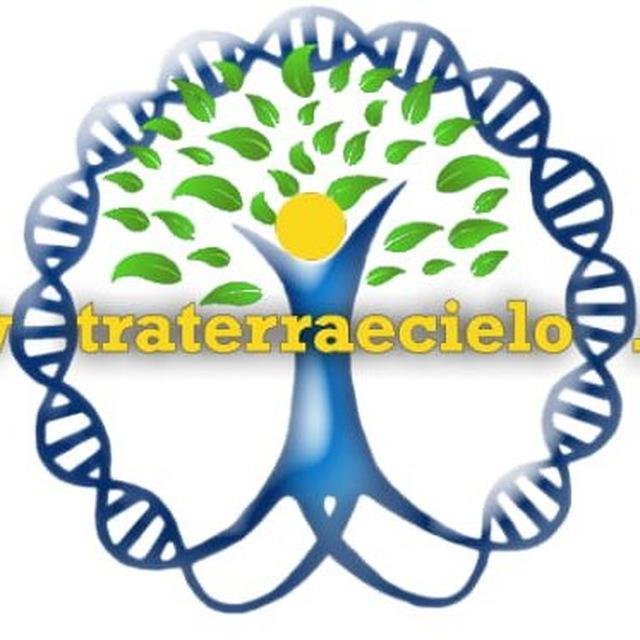 Traterraecielo.live
