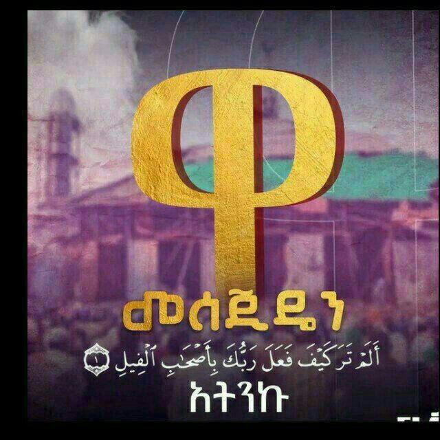 Halal fikr