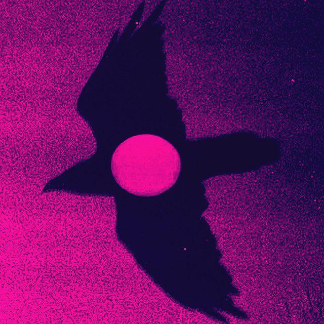 S O L E N E R O