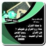 🌿ربيع القلوب 🌿