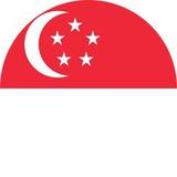 Singaporeans in NYC Channel