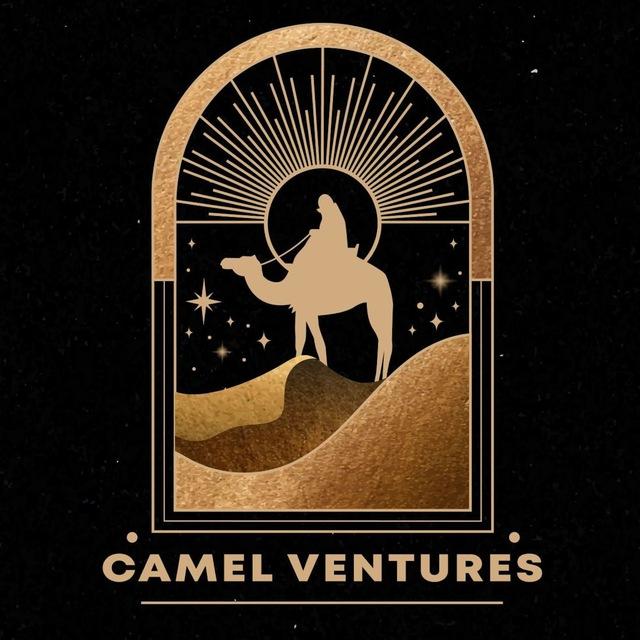 Lạc đà ventures x light team