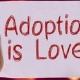 FROM HEART TO HOME ADOPTION 🏡 💓