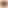 【新人必读】